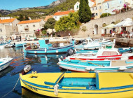 Harbour-Bol